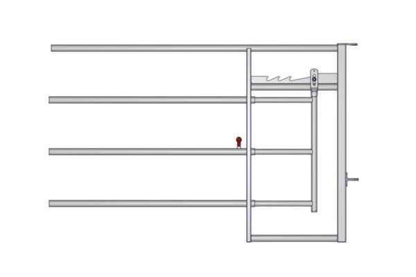 Imagen Frontal EX4 amb pas de vedells