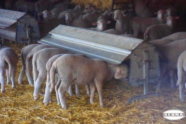 Imagen Tolva per a xais